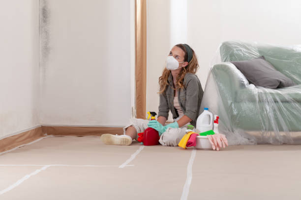 Trusted Basement Mold Remediation service in Marsteller, PA - Cheap Mold Removal